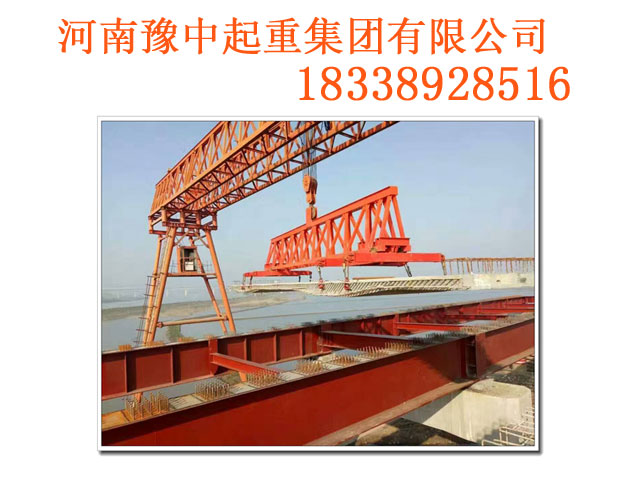 海南三亚龙门吊销售安装服务多样化